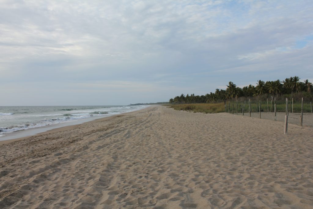 Playa Las Tortugas